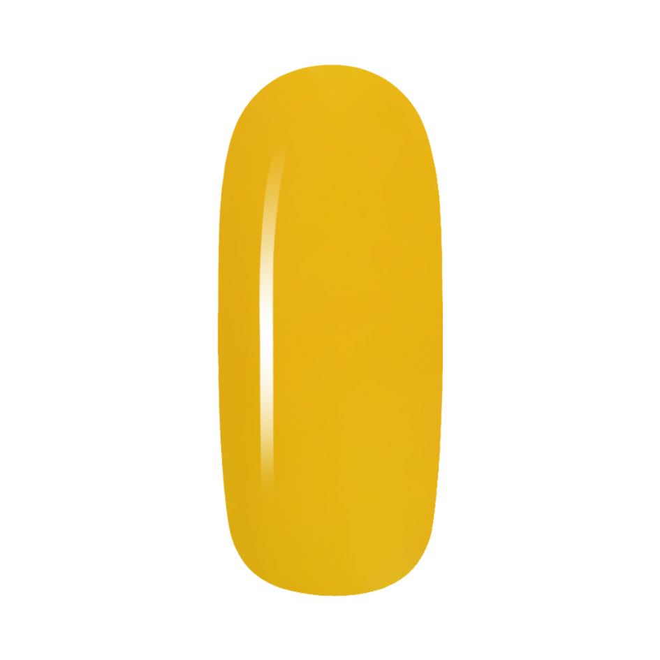 Candy Coat - Paint331 - Candy Coat